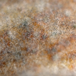 Przykładowe zdjęcia: Sigma 70mm f/2.8 DG Macro Art + Canon EOS 6D Mark II - RAW-Lightroom Classic CC 8.0