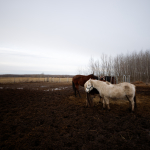 Ukázkové fotografie: Tamron 17-35mm f/2.8-4 Di VC USD G2 + Canon EOS 6D Mark II - RAW-Lightroom Classic CC 8.0