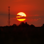 Приклади фотографій: Sigma 60-600mm f/4.5-6.3 DG OS HSM S + Canon EOS 6D Mark II - RAW-Lightroom Classic CC v8.3.1