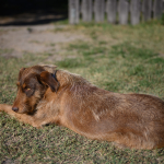 Приклади фотографій: Nikon Z 7 + Nikkor Z 50mm f/1.8 S -  RAW-Lightroom CC 8.3.1