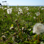 Ukázkové fotografie: Nikon Z 7 + Nikkor Z 14-30mm f/4 S -  RAW-Lightroom CC 8.2.1