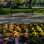 Приклади фотографій: Nikon Z 7 + Nikkor Z 14-30mm f/4 S -  RAW-Lightroom CC 8.2.1