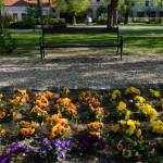 Ukázkové fotografie: Nikon Z 7 + Nikkor Z 14-30mm f/4 S -  RAW-Lightroom CC 8.2.1