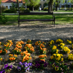 Ukázkové fotografie: Nikon Z 7 + Nikkor Z 14-30mm f/4 S -  RAW-Lightroom CC 8.2.1