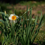 Sample Photos: Olympus E-M1 Mark II + M.Zuiko Digital ED 12-200mm f/3.5-6.3 - RAW-Lightroom CC v8.2.1