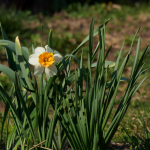 Fotos de Muestra: Olympus E-M1 Mark II + M.Zuiko Digital ED 12-200mm f/3.5-6.3 - RAW-Lightroom CC v8.2.1