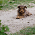 Fotos de Muestra: Olympus E-M1 Mark II + M.Zuiko Digital ED 12-200mm f/3.5-6.3 - RAW-Lightroom CC v8.2.1