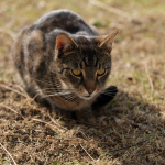 Przykładowe zdjęcia: Panasonic S1R + Panasonic Lumix S 24-105mm f/4 Macro OIS - RAW - Lightroom CC 8.2.1