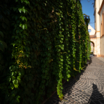 Ukázkové fotografie: Tamron 17-28mm f/2.8 Di III RXD + Sony Alpha 7RII - RAW-Lightroom Classic CC v8.4