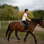 Приклади фотографій: Sigma 45mm f/2.8 DG DN C + Sony Alpha 7R II - RAW-Lightroom Classic v8.4