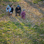 Приклади фотографій: Nikon Z 50 + Nikkor Z DX 50-250mm f/4.5-6.3 VR -  RAW-Lightroom CC 9.0