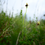 Sample Photos: Nikon Z 7 + Nikkor Z 20mm f/1.8 S -  RAW-Lightroom CC v10.1.1