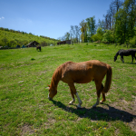 Ukázkové fotografie: Nikon Z 7 + Nikkor Z 20mm f/1.8 S -  RAW-Lightroom CC v10.1.1