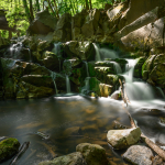 Ukázkové fotografie: Nikon Z 7 + Nikkor Z 20mm f/1.8 S -  RAW-Lightroom CC v10.1.1