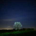 Ukázkové fotografie: Nikon Z 7 + Nikkor Z 20mm f/1.8 S -  RAW-Lightroom CC v10.1.1