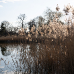 Przykładowe zdjęcia: Nikon Z 7 + Nikkor Z 24-200mm f/4-6.3 VR -  RAW-Lightroom CC v10.1.1