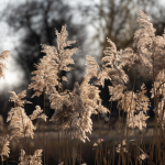 Przykładowe zdjęcia: Nikon Z 7 + Nikkor Z 24-200mm f/4-6.3 VR -  RAW-Lightroom CC v10.1.1