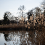 Ukázkové fotografie: Nikon Z 7 + Nikkor Z 70-200mm f/2.8 VR S -  RAW-Lightroom CC v10.1.1