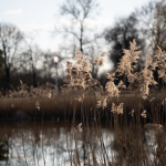 Ukázkové fotografie: Nikon Z 7 + Nikkor Z 70-200mm f/2.8 VR S -  RAW-Lightroom CC v10.1.1