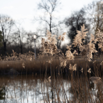 Ukázkové fotografie: Nikon Z 7 + Nikkor Z 70-200mm f/2.8 VR S -  RAW-Lightroom CC v10.1.1