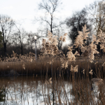 Ukázkové fotografie: Nikon Z 7 + Nikkor Z 70-200mm f/2.8 VR S -  RAW-Lightroom CC v10.1.1