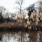 Ukázkové fotografie: Nikon Z 7 + Nikkor Z 70-200mm f/2.8 VR S -  RAW-Lightroom CC v10.1.1