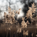 Ukázkové fotografie: Nikon Z 7 + Nikkor Z 70-200mm f/2.8 VR S -  RAW-Lightroom CC v10.1.1