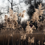 Fotografii mostre: Nikon Z 7 + Nikkor Z 70-200mm f/2.8 VR S -  RAW-Lightroom CC v10.1.1