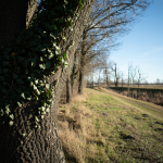 Fotografii mostre: Sigma 24mm f/3.5 DG DN C + Sony Alpha 7R II - RAW-Lightroom Classic v9.4