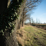 Fotografii mostre: Sigma 24mm f/3.5 DG DN C + Sony Alpha 7R II - RAW-Lightroom Classic v9.4