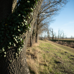 Fotografii mostre: Sigma 24mm f/3.5 DG DN C + Sony Alpha 7R II - RAW-Lightroom Classic v9.4