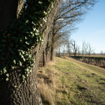 Fotografii mostre: Sigma 24mm f/3.5 DG DN C + Sony Alpha 7R II - RAW-Lightroom Classic v9.4