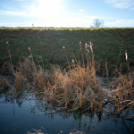 Fotografii mostre: Sigma 24mm f/3.5 DG DN C + Sony Alpha 7R II - RAW-Lightroom Classic v9.4