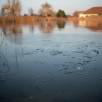 Примеры фотографий: Sigma 35mm f/2 DG DN C + Sony Alpha 7R II - RAW-Lightroom Classic v9.4