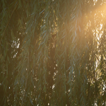 Minta fotók: Sigma 150-600mm f/5-6.3 DG DN OS | Sports + Sony Alpha 7R II - RAW-Lightroom CC v10.4