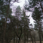 Sample Photos: Sigma 24mm f/2 DG DN C + Sony Alpha 7R II - RAW-Lightroom Classic v11.2
