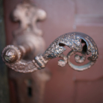 Sample Photos: Sigma 24mm f/2 DG DN C + Sony Alpha 7R II - RAW-Lightroom Classic v11.2