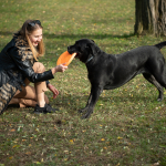 Fotos de Muestra: Sigma 90mm f/2.8 DG DN | Contemporary + Sony Alpha 7R II - RAW-Lightroom Classic CC