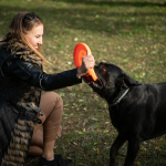 Fotos de Muestra: Sigma 90mm f/2.8 DG DN | Contemporary + Sony Alpha 7R II - RAW-Lightroom Classic CC