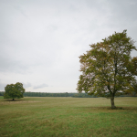 Fotografii mostre: Sigma 24mm f/1.4 DG DN | Art + Sony Alpha 7R II - RAW-Lightroom Classic v11.2