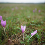 Fotos de Muestra: Sigma 24mm f/1.4 DG DN | Art + Sony Alpha 7R II - RAW-Lightroom Classic v11.2