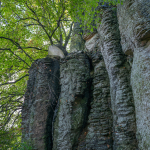 Ukázkové fotografie: Sigma 24mm f/1.4 DG DN | Art + Sony Alpha 7R II - RAW-Lightroom Classic v11.2