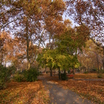 Приклади фотографій: Canon EOS 300D + Tokina AF 12-24mm f/4 AT-X PRO DX