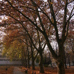 Приклади фотографій: Canon EOS 300D + Tokina AF 12-24mm f/4 AT-X PRO DX