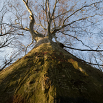 Ukázkové fotografie: Nikon D3 + Nikkor 14-24mm f/2.8G ED AF-S