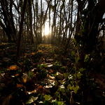 Приклади фотографій: Nikon D3 + Nikkor 14-24mm f/2.8G ED AF-S