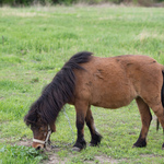 Fotos de Muestra: Olympus E-M5 + M.Zuiko Digital ED 45mm f/1.8 RAW-Lightroom