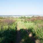 Приклади фотографій: Nikkor 1 10mm f/2.8 CX + Nikon 1 V1 - RAW-Lightroom4