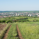 Приклади фотографій: Nikkor 1 10-30mm f/3.5-5.6 CX + Nikon 1 V1 - RAW-Lightroom4