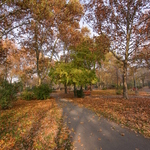 Приклади фотографій: Canon EOS 300D + Canon EF-S 10-22mm f/3.5-4.5 USM